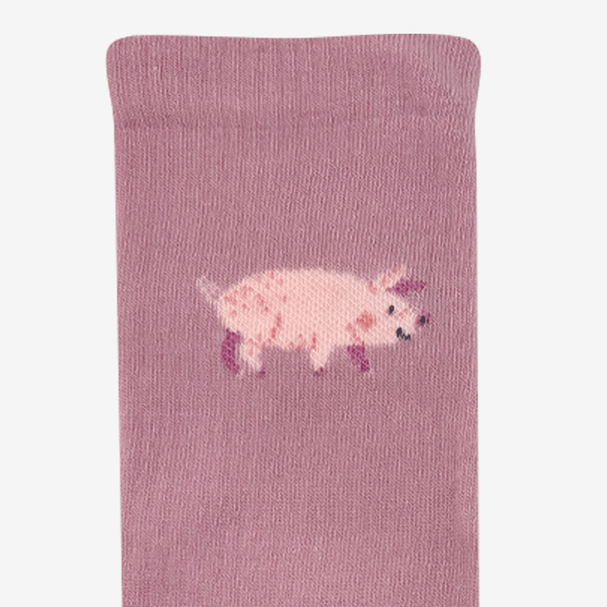 Sports Socks Pig