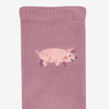 Sports Socks Pig