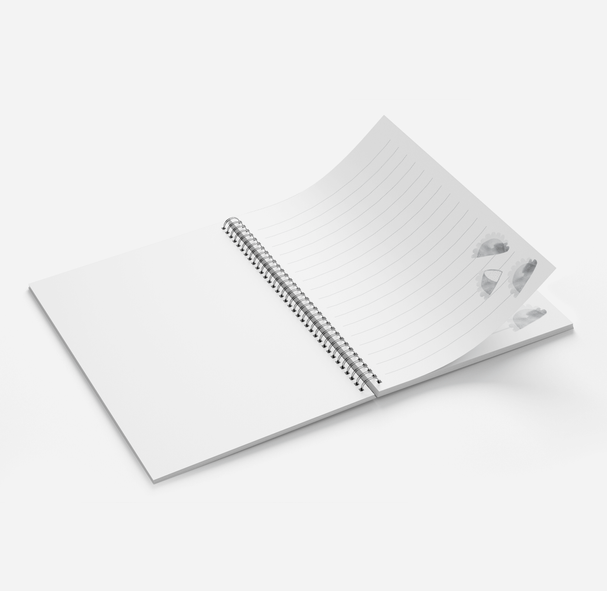 Notebook A5 Dumplings