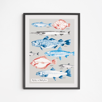 Baltic Fish Poster 50x70