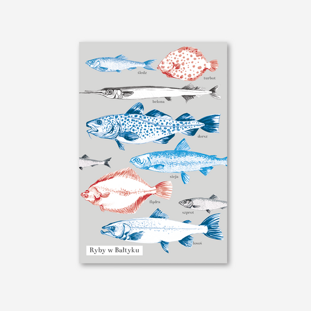 Postcard Baltic Fish