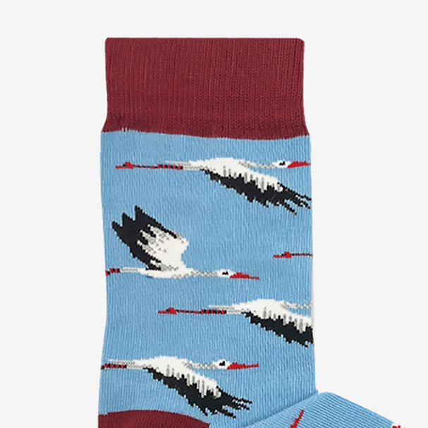 Socks Storks