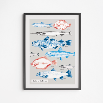 Plakat Ryby Bałtyckie 21x30